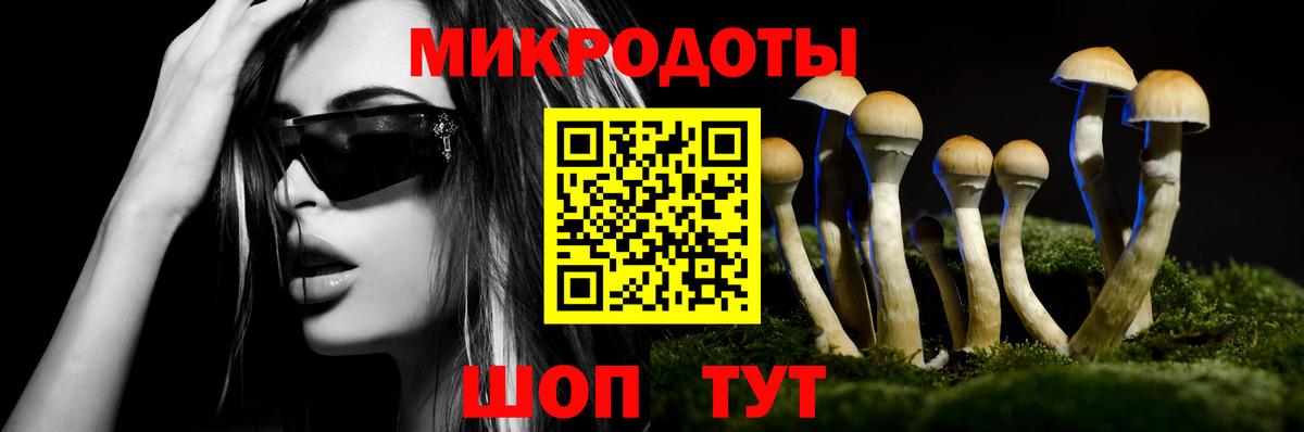 Галлюциногенные грибы Psilocybe Павловский Посад